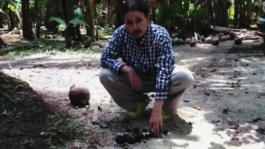 Siberian Fire Investigation: Big Tits, Big Ass Blowjob Porn